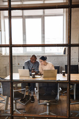 Colleagues indoors work in office with laptop computer.