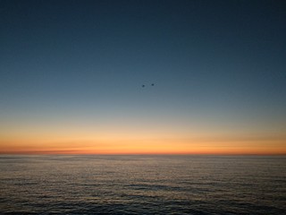 atardecer en el mar con dos pajaros