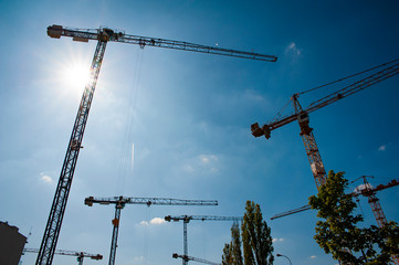 Many cranes on a construction site