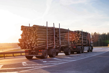 a timber truck carries logs along the road against the backdrop of a sunny sunset. Wood Export and...