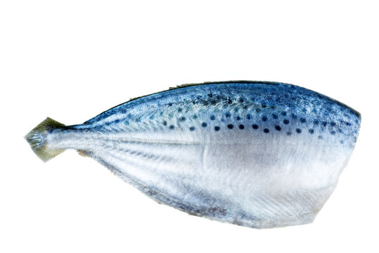 Ready to cook raw fresh pompano fish isolated on white background