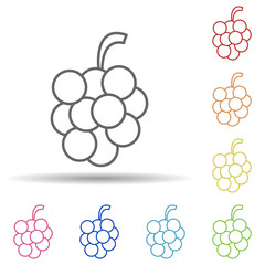 Grapes in multi color style icon. Simple thin line, outline vector of fruit icons for ui and ux, website or mobile application