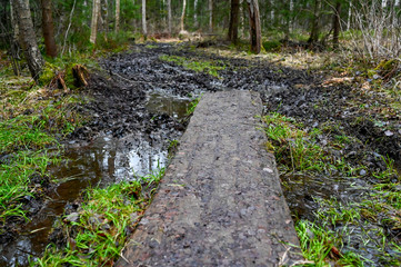 walk on footbridge through wet and dirt