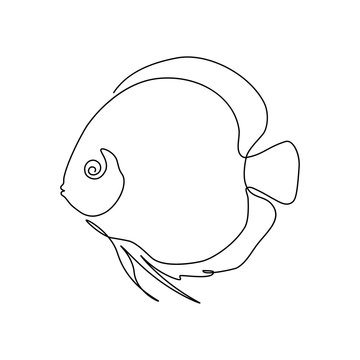 recommend clip art: Discus fish in continuous line art drawing style. Minimalist black linear sketch isolated on white background. Vector illustration