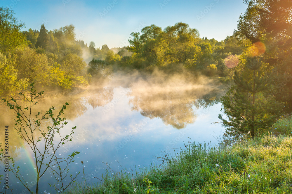 Wall mural spring landscape with fog and river at sunrise