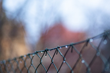 Rainy days early spring - drops on the fence 
