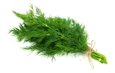 bunch of dill on a white background
