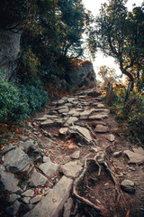 stone path in the mountains.  Indian magic Himalayas mountains in Dharamshala Treck to Triud. Himachal Pradesh.