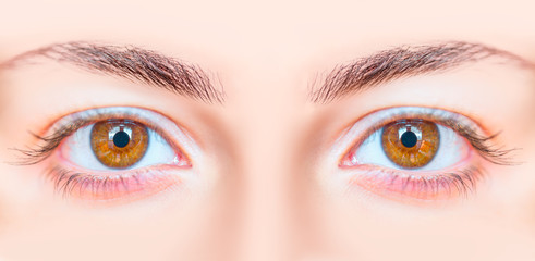 Closeup image of hazel eyes