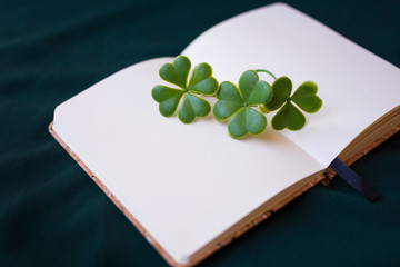 Blank notebook, to write on it, with green clovers on it.