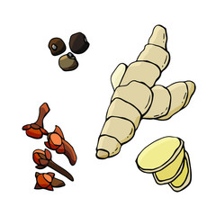 Ginger root, cloves, allspice. Vector cartoon illustration. white background, isolation. Stock illustration.