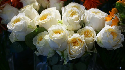 Blüten der weißen Rose als Schnittblume im Blumenladen