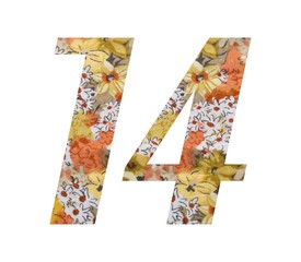 Number 14 with flowered fabric texture on white background.