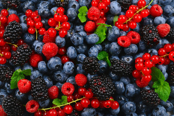 Blackberry, raspberry, blueberry,  red currant and mint background.