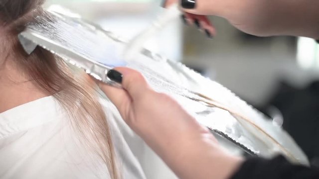 Professional hairdresser dyeing hair of her client. Closeup picture