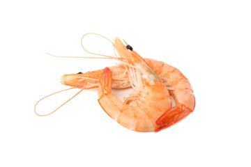 Delicious shrimps isolated on white background. Seafood
