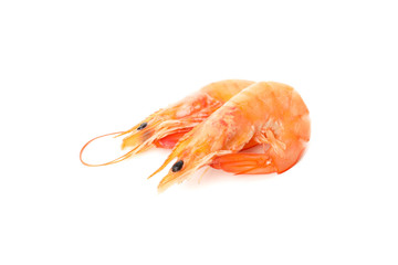 Delicious shrimps isolated on white background. Seafood