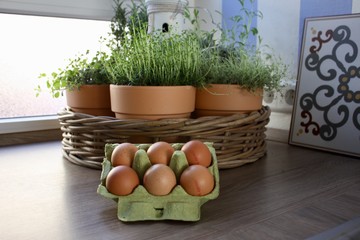 still life with easter eggs and flowers