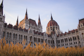 Obraz premium The Building Of The Parliament Of Hungary
