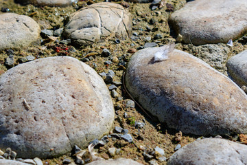 High angle view of stones at pond