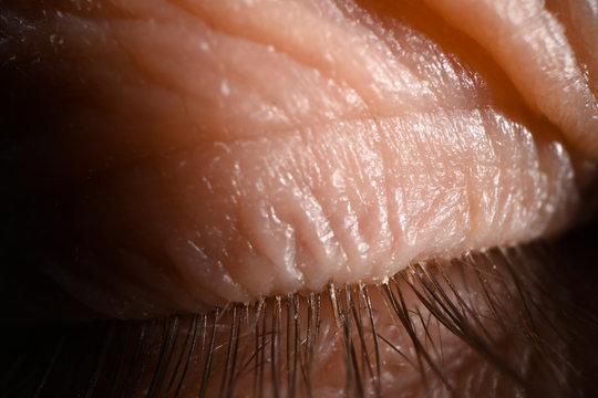 Human eye lash natural condition closeup background