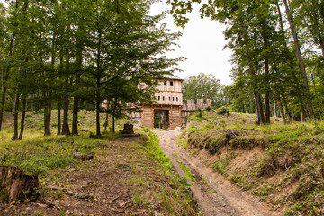 Fototapeta na wymiar Wooden fortress gate and palisade wall