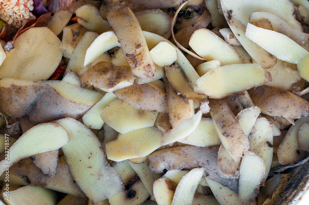 Wall mural natural background of potato peelings