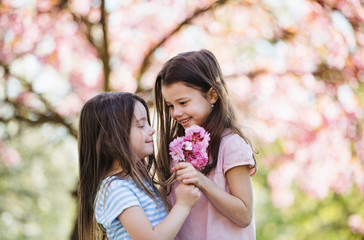 Two small girls standing outside in spring nature, holding flowers.