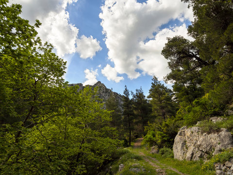 Hiking trail in the mountain gorge of Agali on the island of Evia in Greece