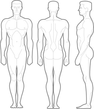 human body outline