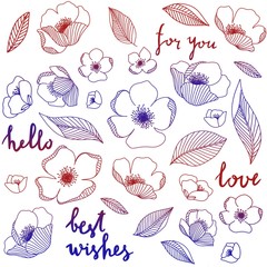 seamless pattern with flowers