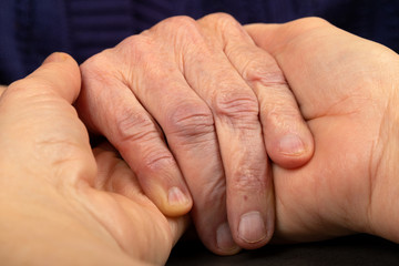 Wrinkled senior hands