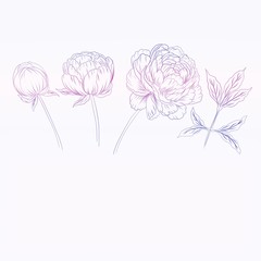  illustration of flower