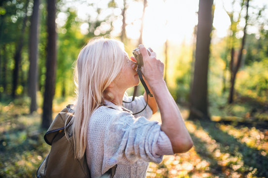 Senior woman outdoors in forest, taking photos with camera.