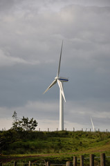 Fototapeta na wymiar wind turbine in field