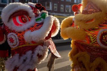 chinese dragon during chinese new year