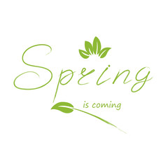 Hello spring lettering hand sketched words. Seasonal logo, greeting card. Latter for nature background. Vector EPS10