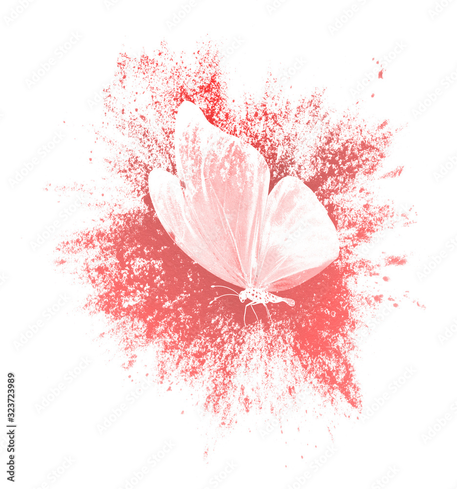 Poster color paint splashes with butterfly isolated on a white background. print for the designer
