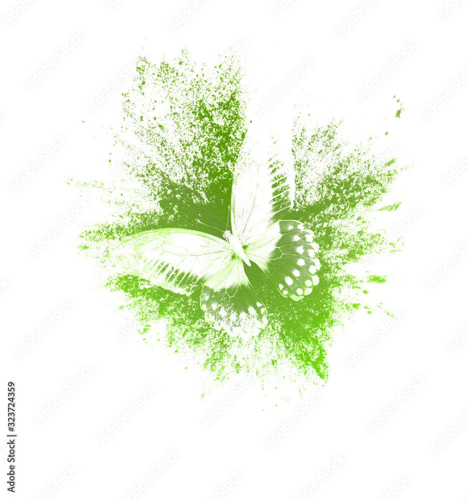 Poster color paint splashes with butterfly isolated on a white background. print for the designer