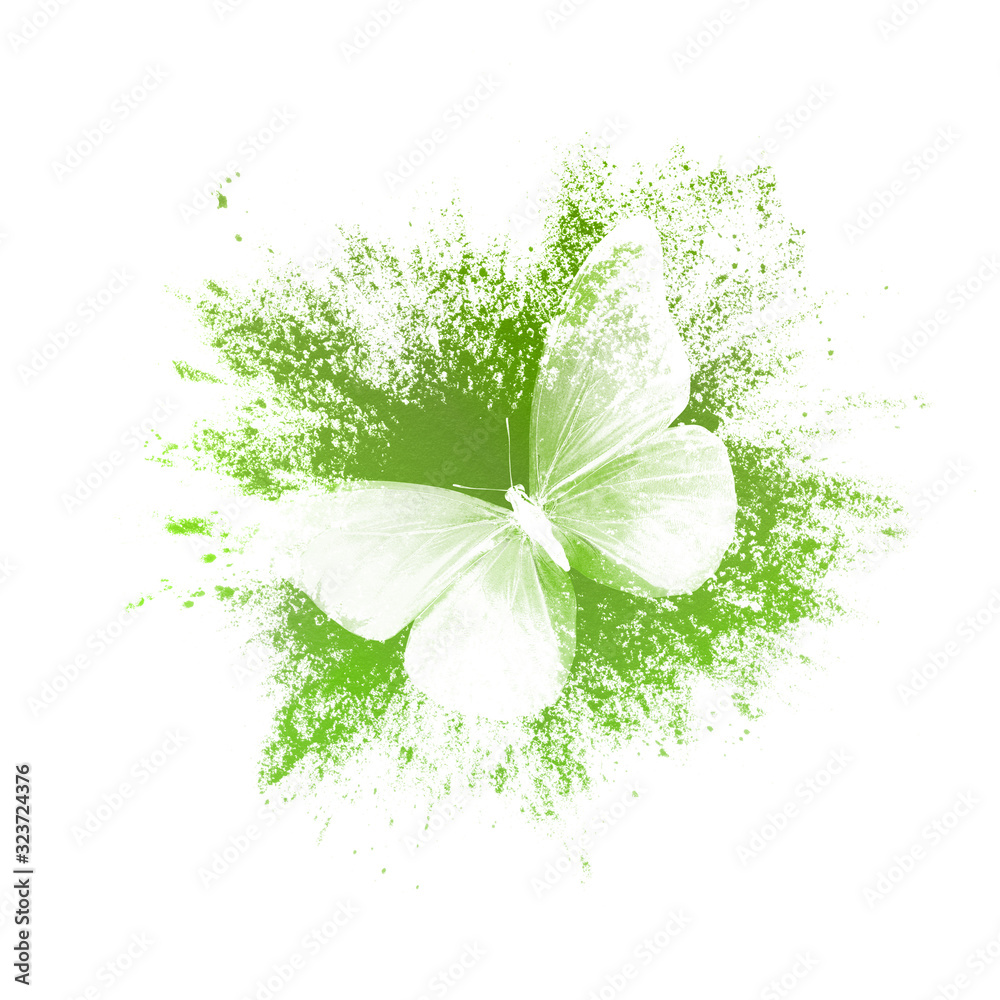 Poster color paint splashes with butterfly isolated on a white background. print for the designer