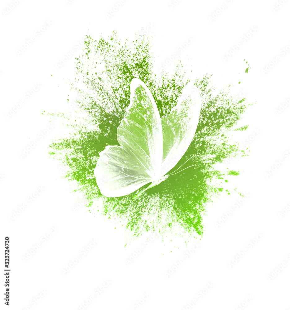 Poster color paint splashes with butterfly isolated on a white background. print for the designer