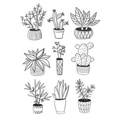 set of plants and plants in pots