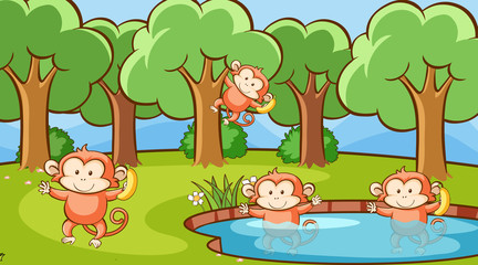 Obraz na płótnie Canvas Scene with cute monkeys in forest