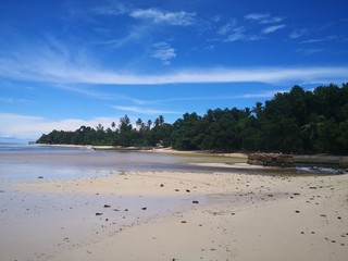 Seychellen, Karibik, Malediven, Mauritius, Reunion, Hawaii, Strand, Meer, Sonne, Urlaub, Reisen, Ferien, Palmen, Beach, Tropisch, Insel, Himmel, Wasser, Sommer, Paradies, Dschungel, Küste
