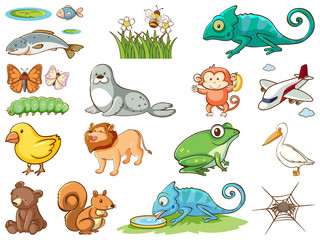 Naklejka premium Large set of wildlife with many types of animals and insects