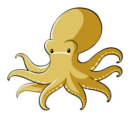 Yellow octopus on white background