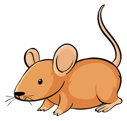 Orange mouse on white background