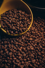  Coffee bean on wooden background