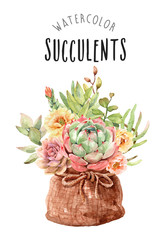 Watercolor cactus cacti and succulents in fabric sack bag and rope ribbon. Layer path, di-cut alpha path clipping path isolated on white background for screen pattern fabric.