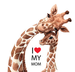 Watercolor giraffe, Watercolor mom giraffe and baby drawing for Baby shower, POD, Mother's day clipping path isolated on white background. - obrazy, fototapety, plakaty